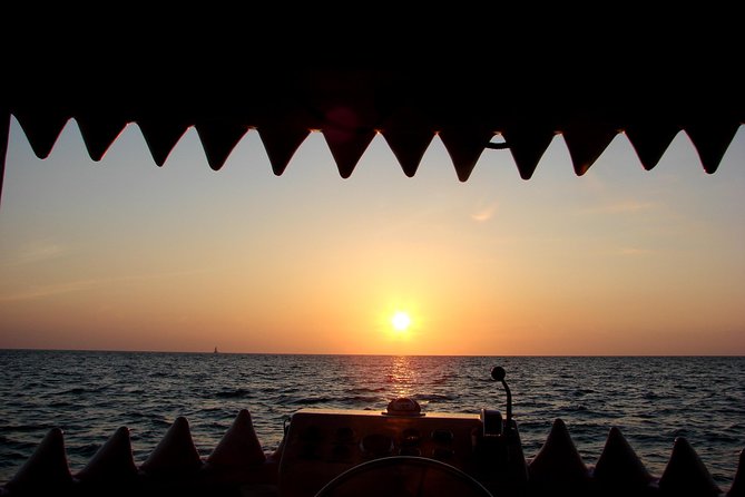 Mega Bite Dolphin Tour Boat in Clearwater Beach - Who Should Book Mega Bite (and Who Might Want a Backup Plan)