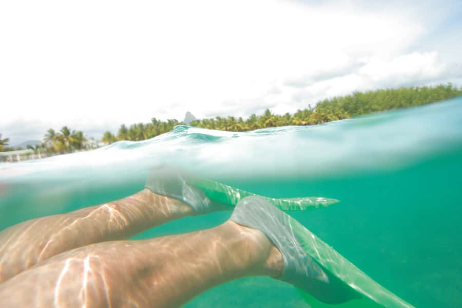 Miami: Key West Dolphin Watch or Snorkel Boat with pickup - Glass-bottom boat (about 90 minutes): reef views without the water work