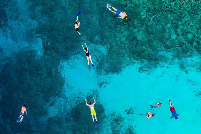 MIAMI: Key West Dolphin Watch Tour - Group size, bus comfort, and why logistics can make or break the day