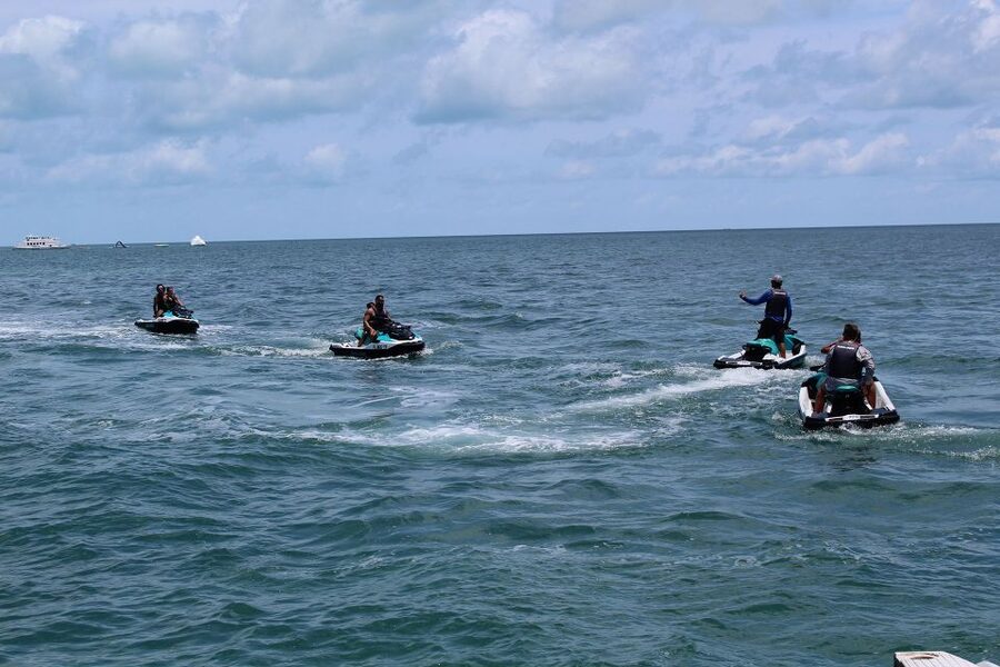 Miami to Key West Shuttle: Dolphin, Snorkeling & More - Picking the Right Option: Shuttle Only vs Dolphins vs Boat vs Jet Ski
