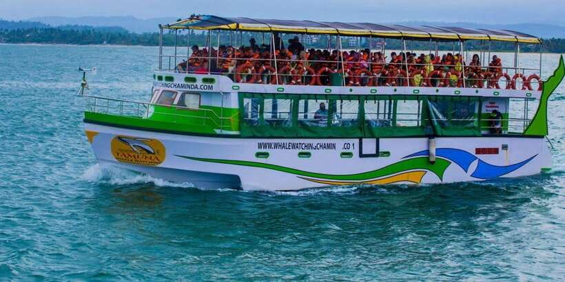 Mirissa: Whale & Dolphin Watching Cruise with Breakfast - Practical packing: the small things that make a difference