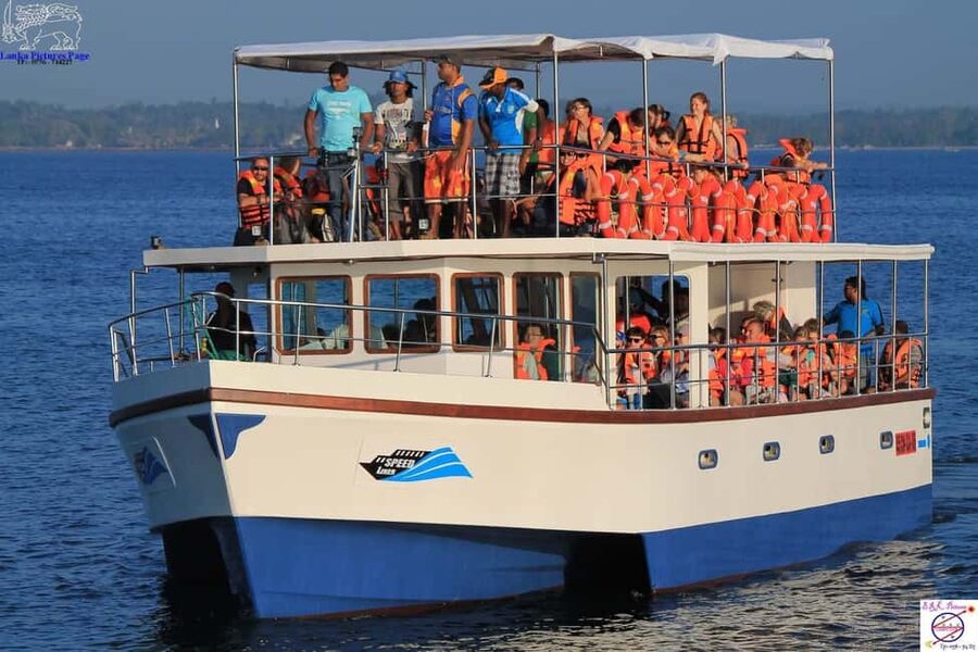 Mirissa: Whale & Dolphin Watching Trip with Private Transfer - Quick Take: Is This Mirissa Whale-Watching Trip Good Value?