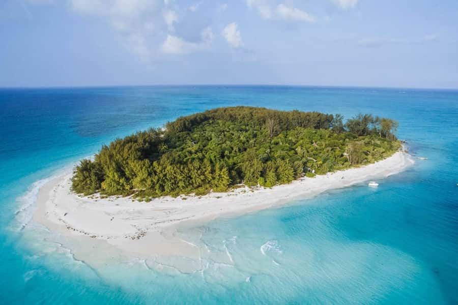 Mnemba dolphin & snorkel: from matemwe, pwani, kwingwa, Uroa - Key things to know before you go