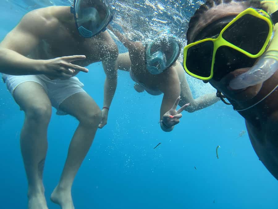 Mnemba dolphin & snorkel: from matemwe, pwani, kwingwa, Uroa - How the Mnemba dolphin and snorkel day really plays out