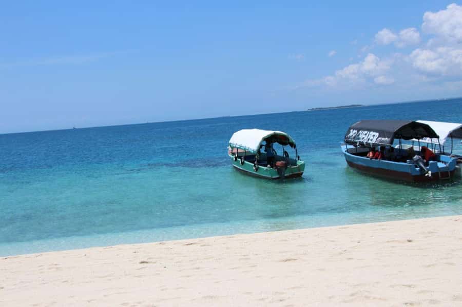 Mnemba dolphin & snorkel: from matemwe, pwani, kwingwa, Uroa - Dolphin swim logistics: what to expect once you’re on the boat