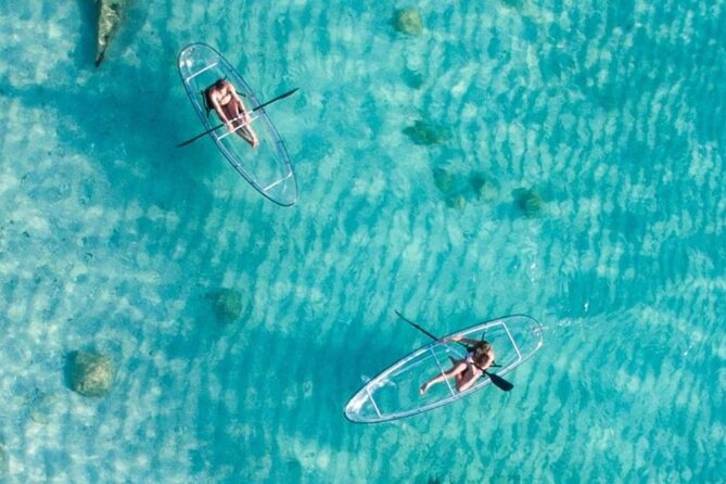 Mnemba Dolphin Tour, Clear Kayak, Cooking Class, Horse Riding - Stop 1: Mnemba Island snorkeling around the Atoll