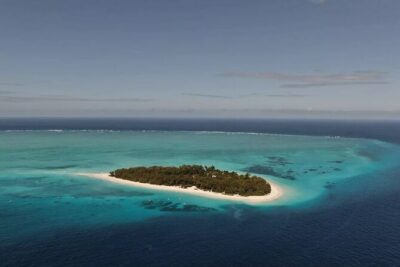 Mnemba Dolphin Tour, The Island Pongwe, Blue Lagoon, Starfish Tour, The Rock - Morning Start: Round-Trip Transfers and What “Private” Really Means
