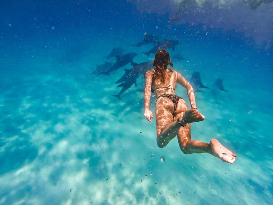 Mnemba Island: Dolphin Swim & Snorkeling with Optional Lunch - A half-day tour with two big payoffs