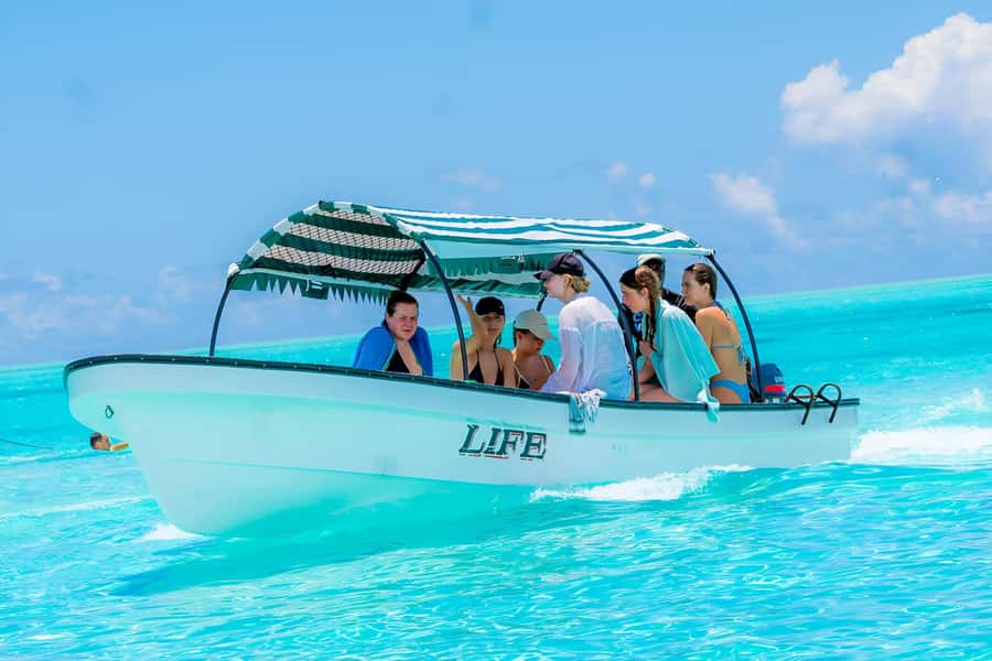 Mnemba Island: Dolphin Swim & Snorkeling with Optional Lunch - Pickup options and the logistics that can save your day