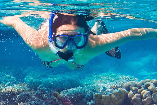 Mnemba Island Marine Safari Snorkeling and Dolphin Watching - Time Management: Why the 4 Hours Feel Just Right