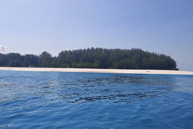 Mnemba Island Snorkeling and Dolphin tour - Key things I’d plan around