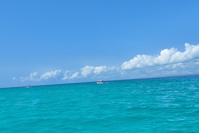 Mnemba Island Snorkeling and Dolphin tour - Mnemba Island for snorkeling: why this stretch of Zanzibar water matters