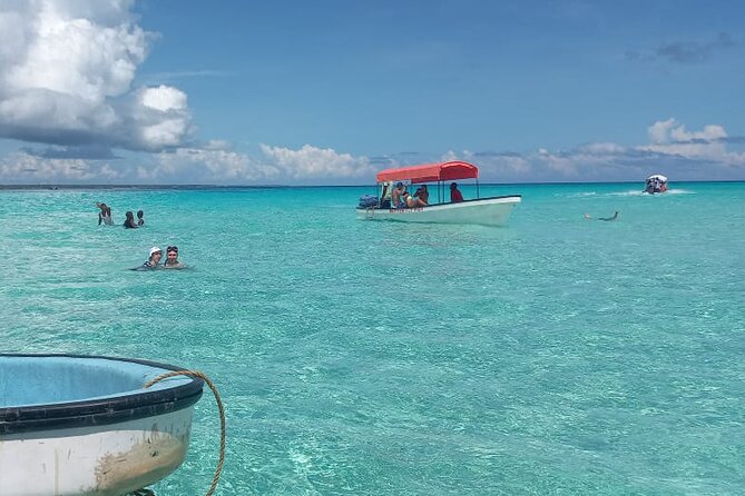 Mnemba Island Snorkeling and Dolphin tour - Should you book this Mnemba Island Snorkeling and Dolphin tour?