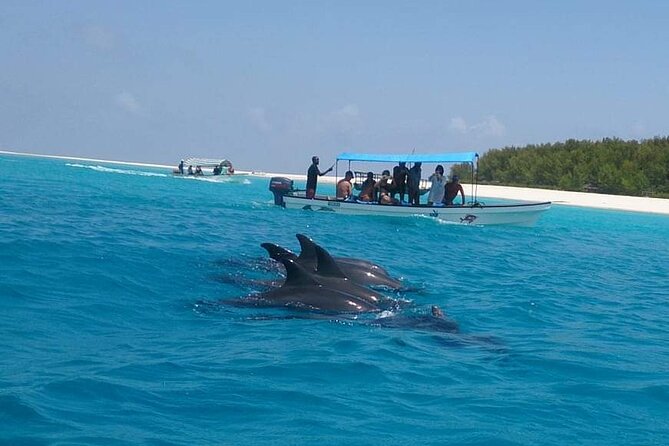 Mnemba Island snorkeling and Swimming with Dolphin - Guides and crew support: why the experience feels well run