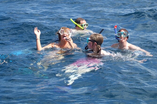 Mnemba Island Snorkeling and Swimming with Dolphins - What’s included in the $65 price, and what to budget for