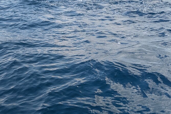 Mnemba Island Snorkeling and Swimming with Dolphins - Should you book it? A balanced recommendation