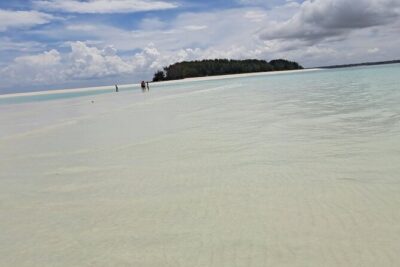 Mnemba Snorkeling, Dolphin and Baraka Natural Aquarium - Stop 1: Dolphin Point Swim and Mnemba Snorkeling in One Sweep