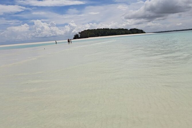 Mnemba Snorkeling, Dolphin and Baraka Natural Aquarium - Stop 1: Dolphin Point Swim and Mnemba Snorkeling in One Sweep