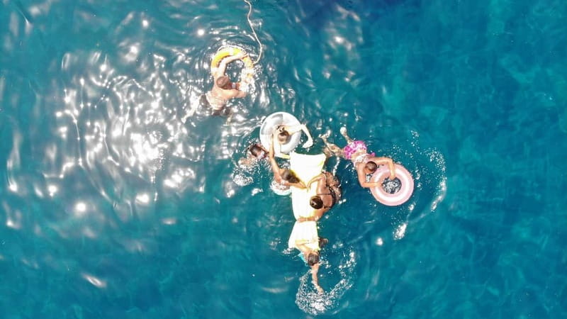 Mogan: Dolphin Watching Boat Trip with Swim Stop - Key highlights worth building your day around