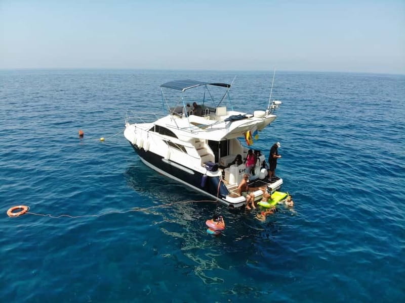Mogan: Dolphin Watching Boat Trip with Swim Stop - The swim-and-snorkel stop in a sheltered bay: what’s included, what to confirm