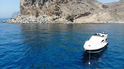 Mogan: Dolphin Watching Boat Trip with Swim Stop - Following dolphins along Gran Canaria’s South West Coast