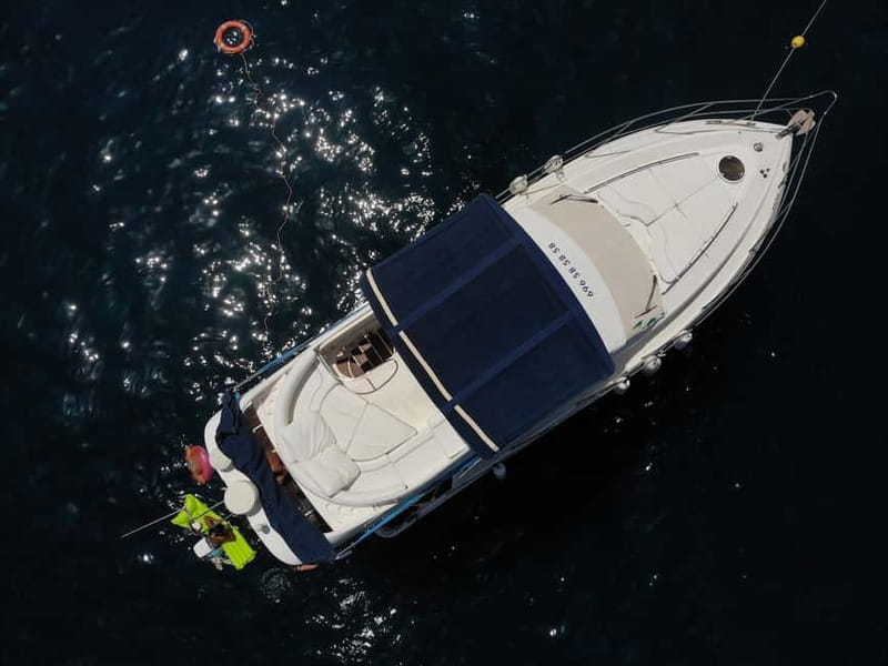 Mogan: Dolphin Watching Boat Trip with Swim Stop - Lunch on board in Gran Canaria style: food, drinks, and why it’s good value