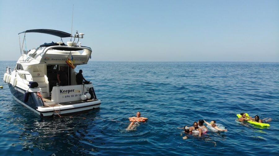Mogan: Dolphin Watching Boat Trip with Swim Stop - Who should book this dolphin trip, and who might want a different plan