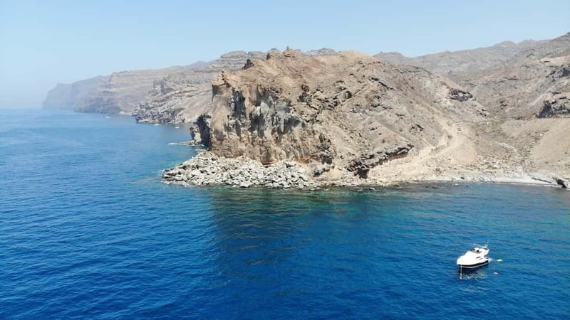 Mogan: Dolphin Watching Boat Trip with Swim Stop - Should you book the Mogan dolphin boat trip with swim stop?
