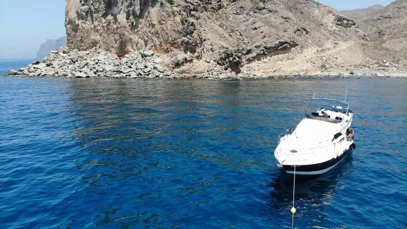 Mogan: Dolphin Watching Boat Trip with Swim Stop - Following dolphins along Gran Canaria’s South West Coast
