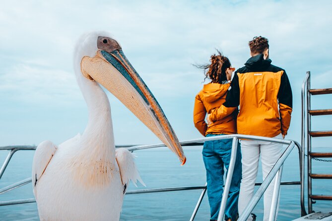 Mola Mola Marine Dolphin Cruise & Beach Braai on Pelican Point - Pelican Point beach drop-off: the lunch location you actually want