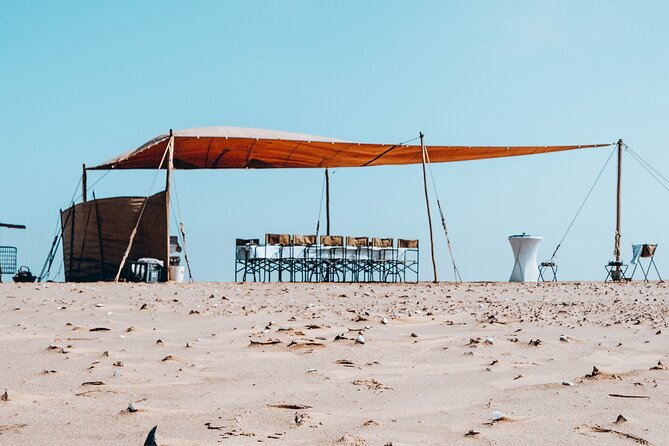 Mola Mola Marine Dolphin Cruise & Beach Braai on Pelican Point - Fresh Namibian oysters and champagne: why the meal feels worth it