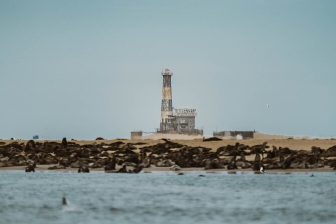 Mola Mola Marine Dolphin Cruise & Beach Braai on Pelican Point - The history stops along the way (and how to use them)