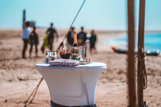 Mola Mola Marine Dolphin Cruise & Beach Braai on Pelican Point - Wildlife time on the water: what to watch for first