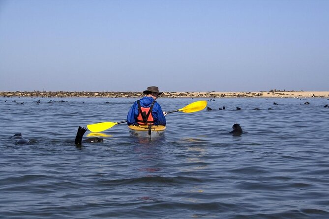 Mola Mola Marine Dolphin Cruise from the Walvis Bay Waterfront to Pelican Point - Walvis Bay to Pelican Point: the Skeleton Coast in a Few Hours