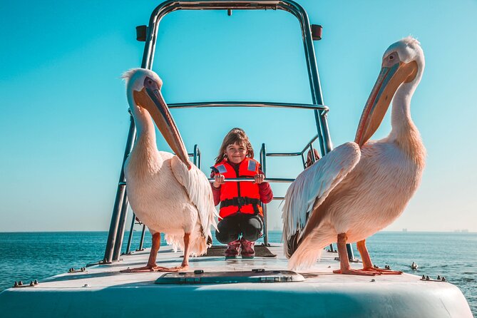 Mola Mola Marine Dolphin Cruise from the Walvis Bay Waterfront to Pelican Point - The waterfront drive-by: quick history, then the wildlife hunt