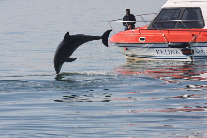 Mola Mola Marine Dolphin Cruise from the Walvis Bay Waterfront to Pelican Point - What the boat experience feels like: stable catamaran and calm pacing