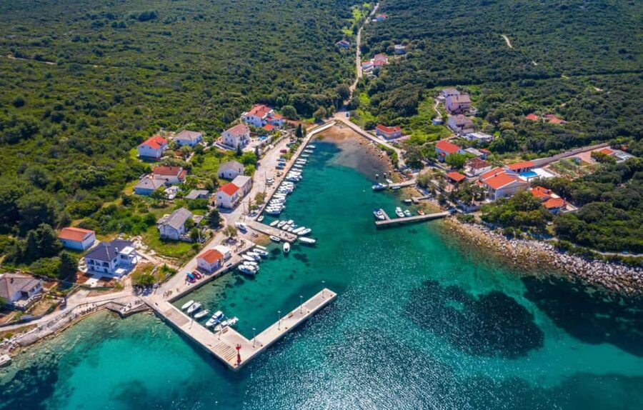 Molat Island Dolphin Watching Boat Tour 6hours TOUR - Molat dolphin reserve: what the 85–90% chance really means