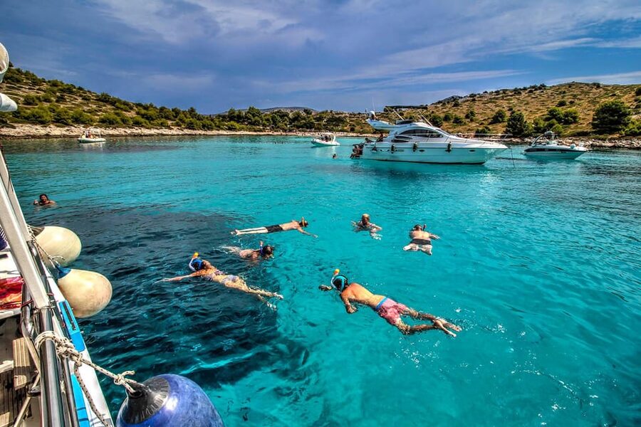Molat Island Dolphin Watching Boat Tour 6hours TOUR - Dolphin spotting tips that actually help (and don’t waste time)