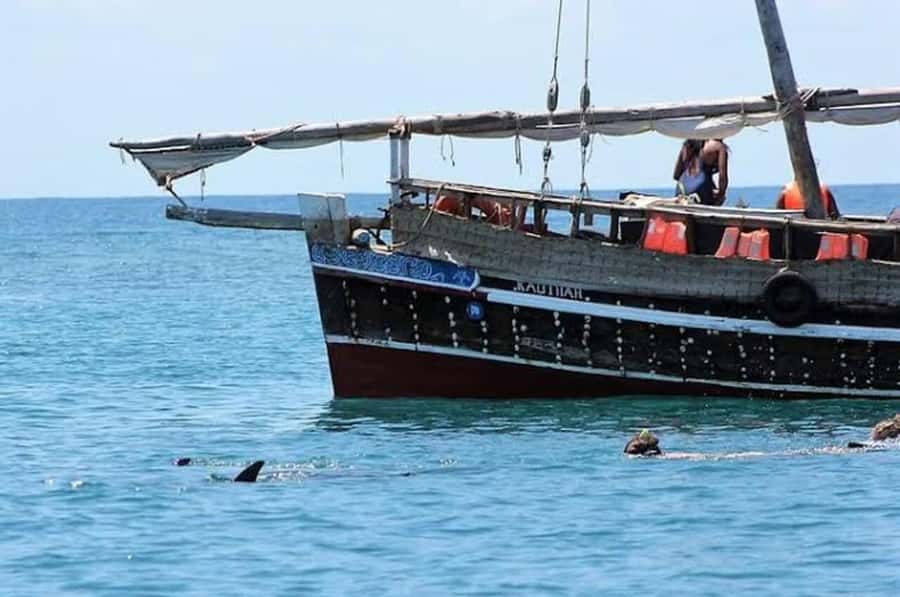 Mombasa: Snorkeling, Dolphin watching, seafood lunch. - Kisite Mpunguti Marine Park snorkeling: what you’re paying for