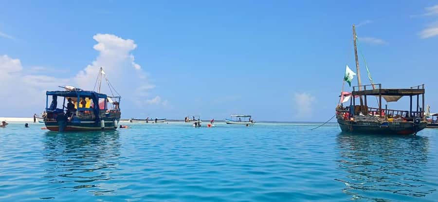 Mombasa: Wasini Dolphin Tour - Dolphin Watching in Their Home Waters: What You Can Control