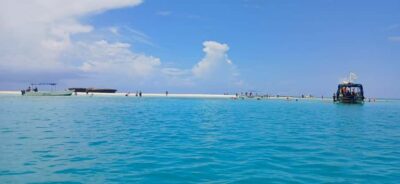 Mombasa: Wasini Dolphin Tour - From Shimoni Jetty to Kisite-Mpunguti: the Boat/Dhow Stretch
