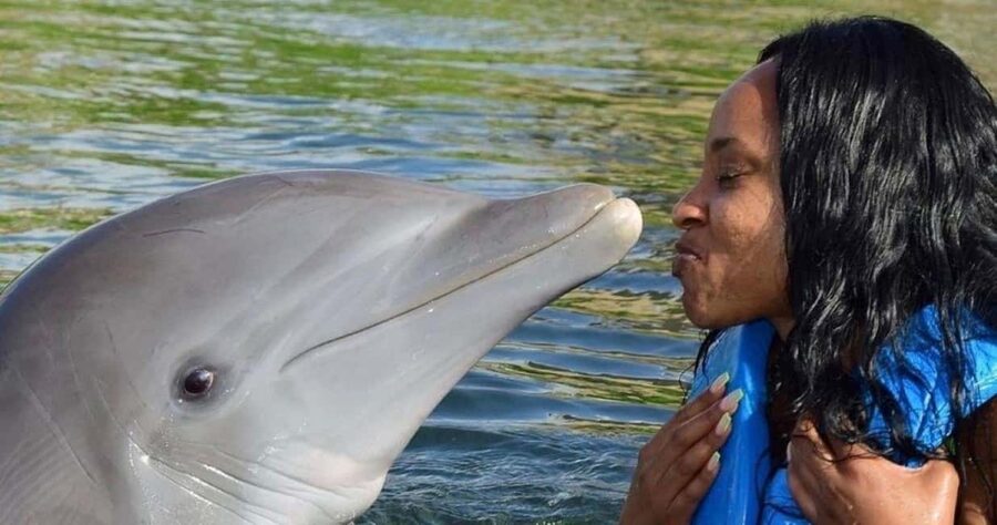 Montego Bay: Swim With The Dolphins Adventure in Lucea - Key points that make this dolphin swim worth your time