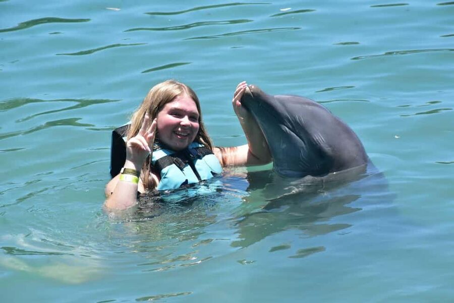 Montego Bay: Swim With The Dolphins Adventure in Lucea - Swim Adventure options: feeding, kissing, dancing, and belly rides
