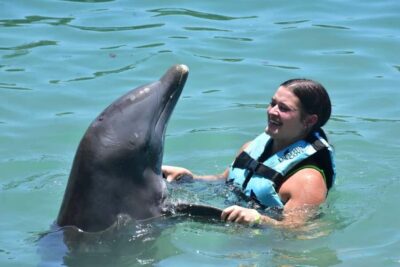 Montego Bay: Swim With The Dolphins Adventure in Lucea - The core thrill: how the dolphin encounter works in the water