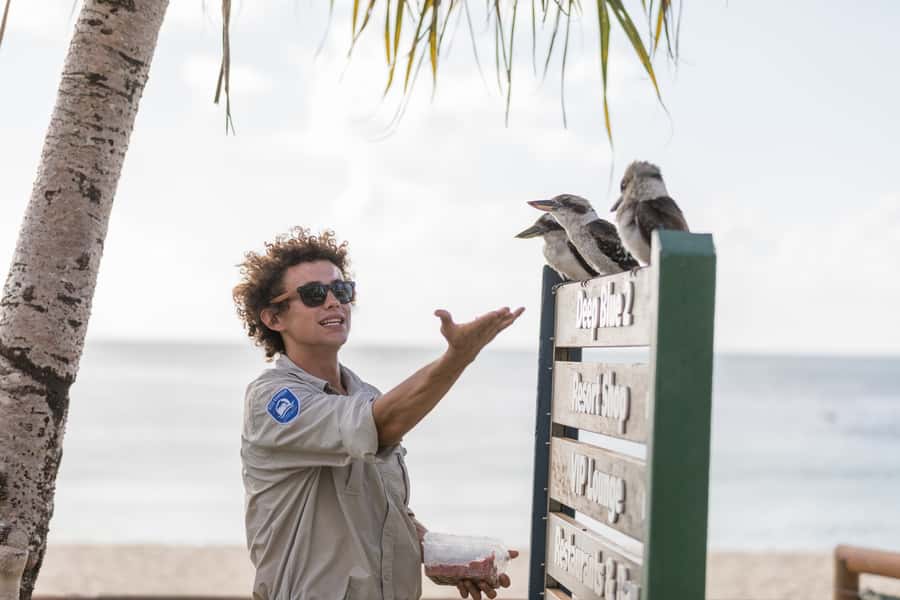 Moreton Island: Desert Safari Tour & Dolphin Viewing - Who this tour fits best (and who should think twice)