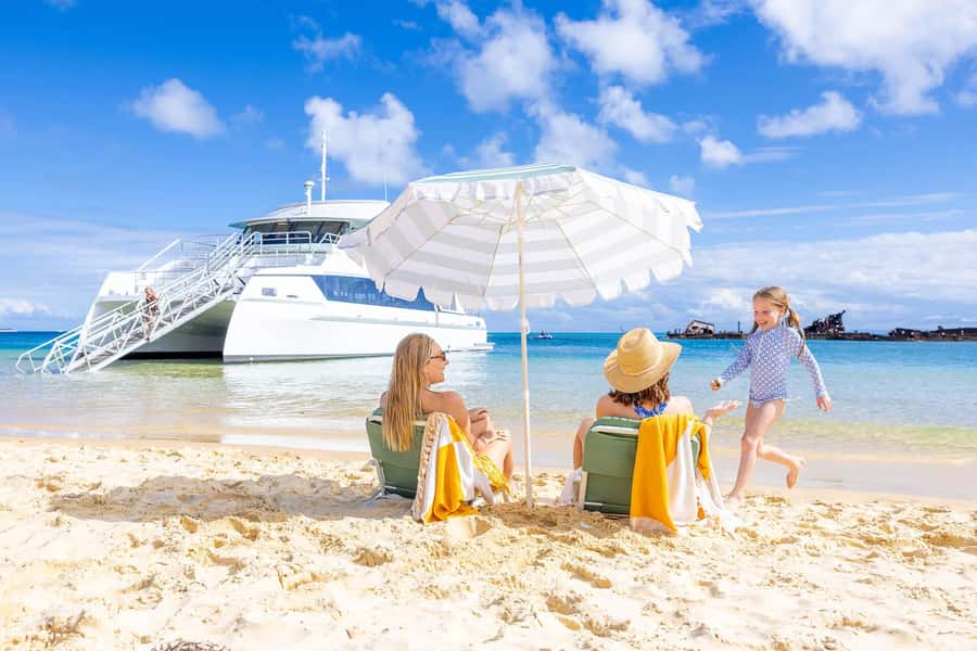Moreton Island: Dolphin & Tangalooma Wrecks Snorkel Cruise - Key points before you go
