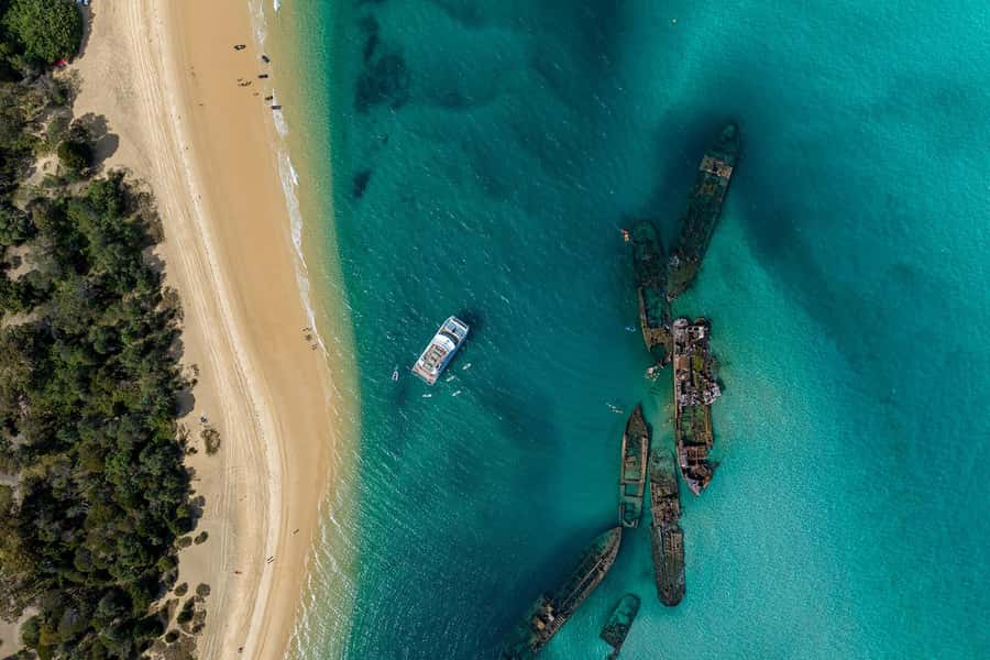 Moreton Island: Dolphin & Tangalooma Wrecks Snorkel Cruise - Tangalooma Wrecks snorkeling: the main reason to book