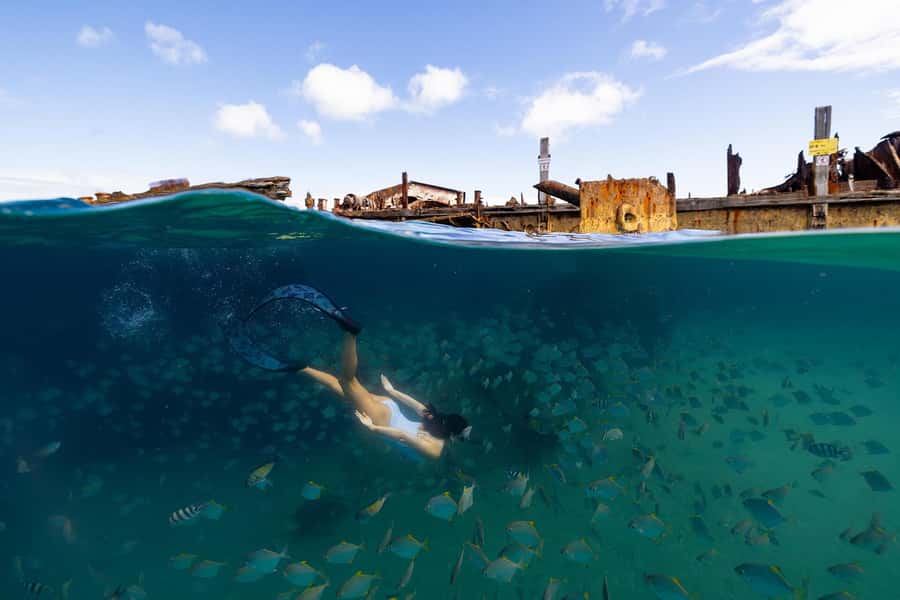 Moreton Island: Dolphin & Tangalooma Wrecks Snorkel Cruise - Getting the timing right: how the day stays smooth