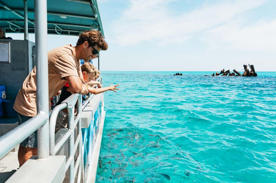 Moreton Island: Marine Discovery Cruise & Dolphin Feeding - Day Trip From Brisbane: How the Schedule Really Moves