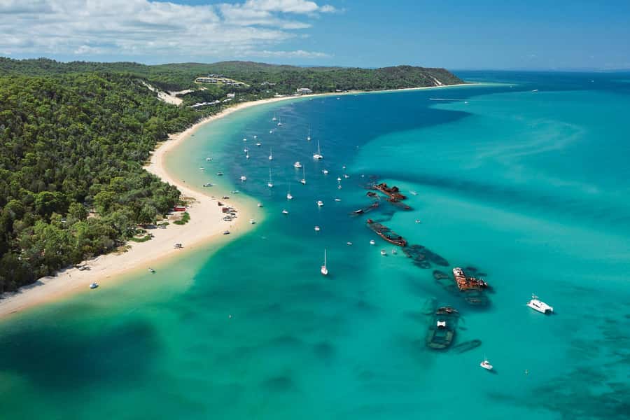 Moreton Island: Marine Discovery Cruise & Dolphin Feeding - FAQ